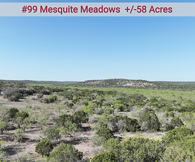 Mesquite Meadows