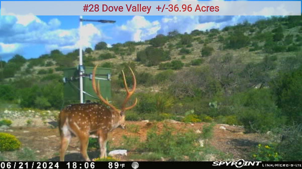 Dove Valley