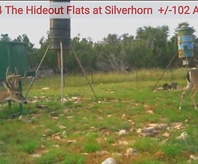 The Hideout Flats at Silverhorn