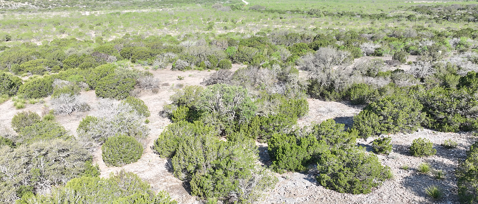 Mesquite Meadows (5).png