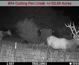 Cutting Pen Creek
