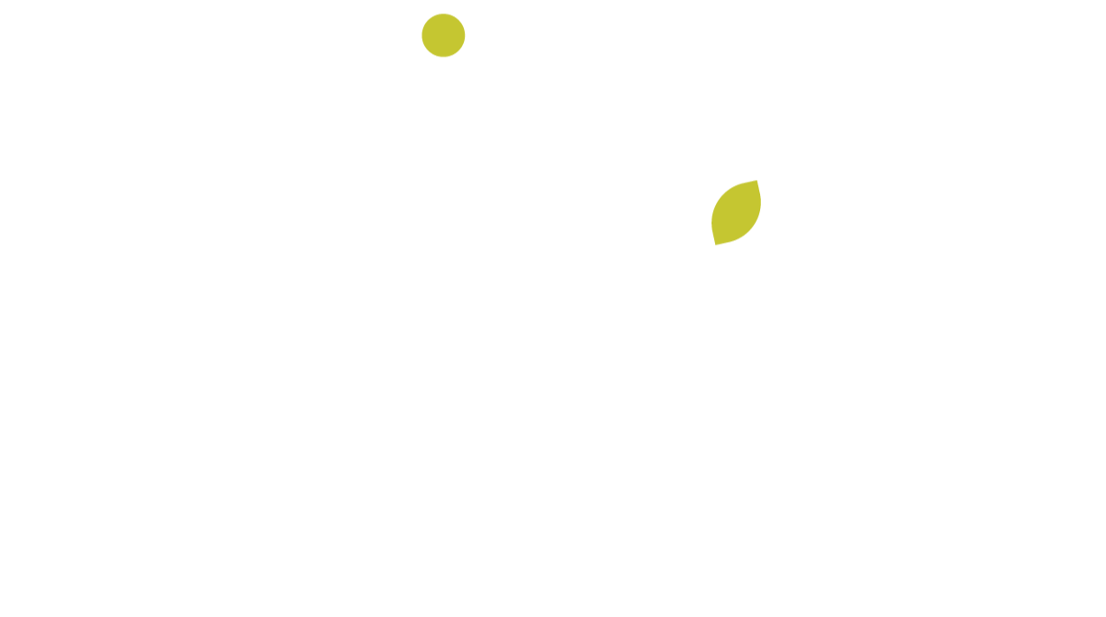 Io Garden_principal_fundo azul_edited.png
