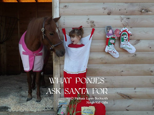 What Ponies Ask Santa For #whatponiesasksantafor pony receives a litte girl for Christmas What ponies want for Christmas Christmas Pony #christmaspony pony girl and pony