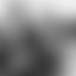 A fragmentação da memória em Walden – os diários de Jonas Mekas