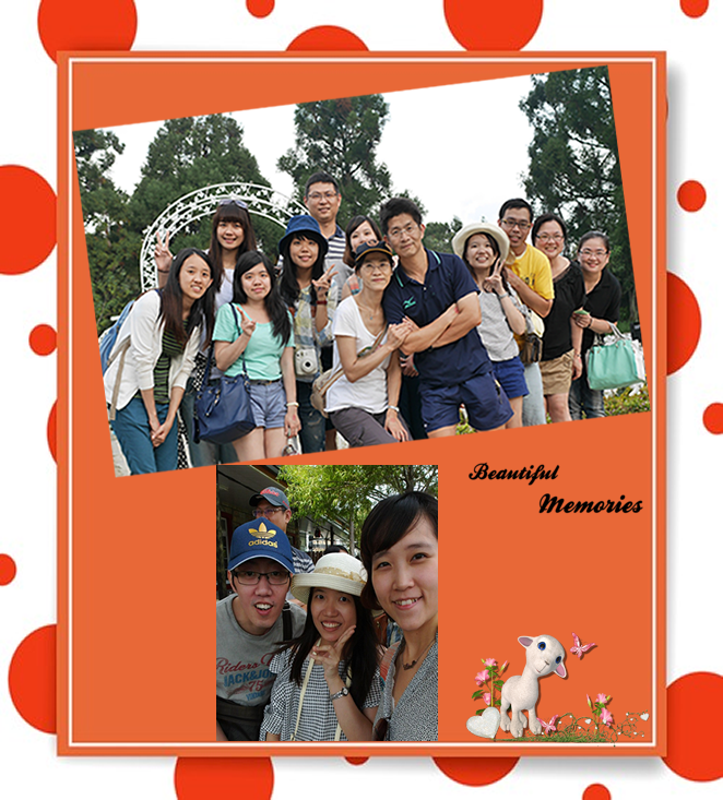 page11