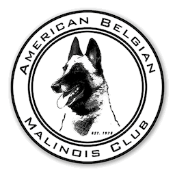 American Belgian Malinois Club AKC Trial