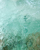 4022F742-82D8-4107-8FFC-1FC939D70FDB.jpeg