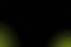 3124142.webp