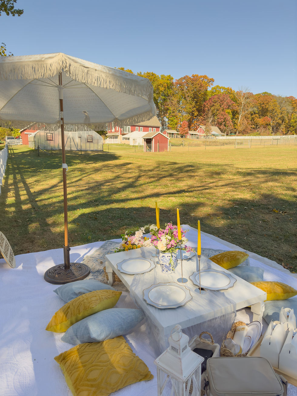picnic with alpacas at the farm.JPG