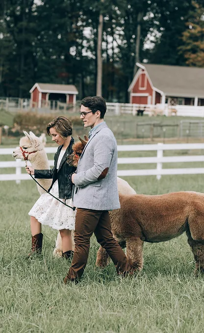 106_Bluebird-Farm-Alpacas-Engagement-AV_.webp