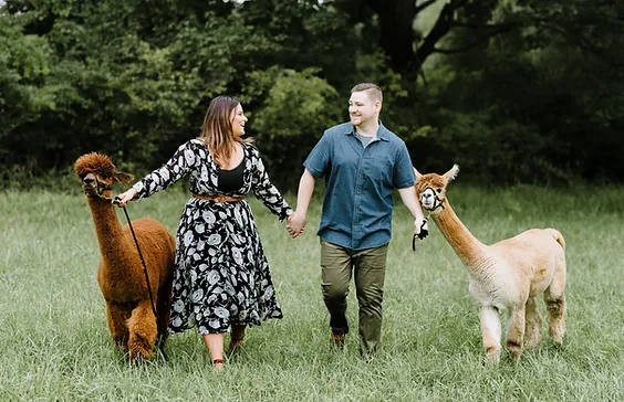25_Bluebird-Alpaca-Farm-NJ-Engagement_jp.webp