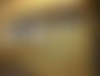 【ウッドスタート園】にお仲間が増えました