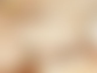 『ウッドスタートガイドブック』リニューアル!