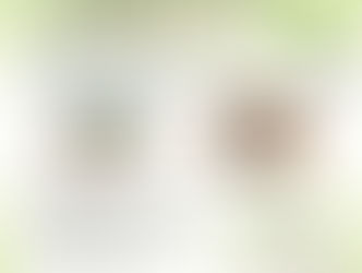 森のめぐみの保育環境セミナー2022開催決定!