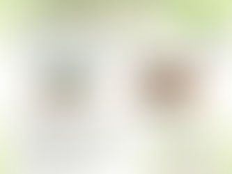 森のめぐみの保育環境セミナー2022開催決定!