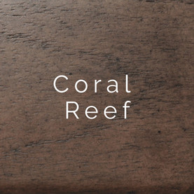 Coral Reef.jpg