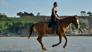 L'apprentissage ou l'amélioration du galop