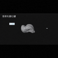 2.gif