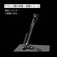 6.gif