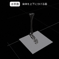 1.gif