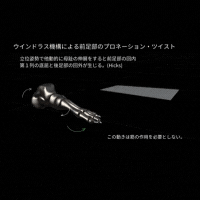 5.gif