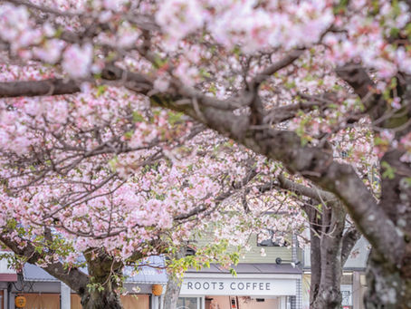 街に根づく「人の輪」。島本町で愛される「ROOT3 COFFEE」さんでのひととき