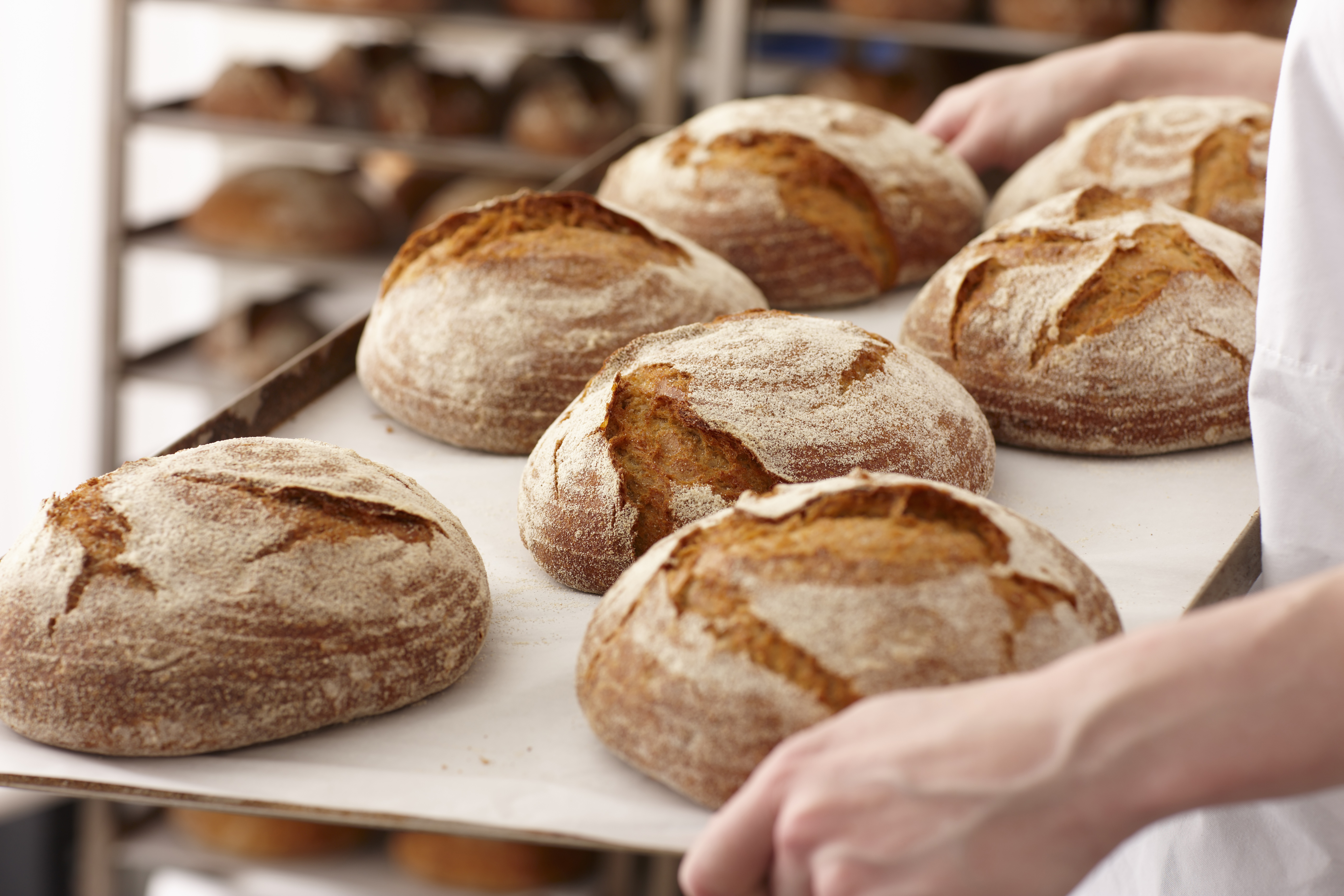Fresh Bread Rolls