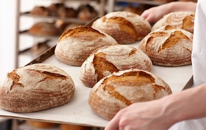 Fresh Bread Rolls