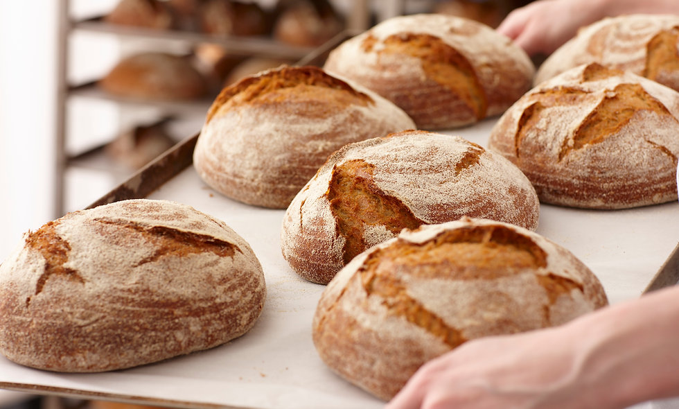 Frische Brötchen