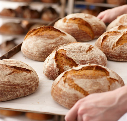 Frisch gebackenes Brot