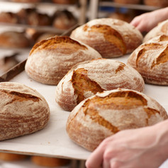 Fresh Artisan Bread