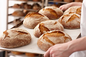 Fresh Bread Rolls