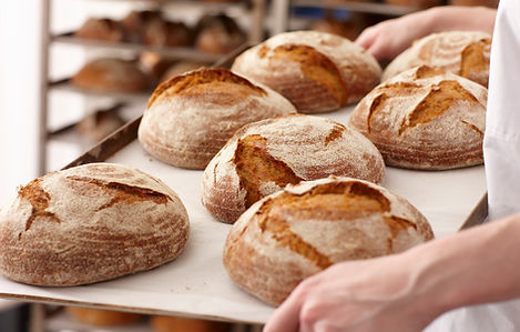 Fresh Bread Rolls