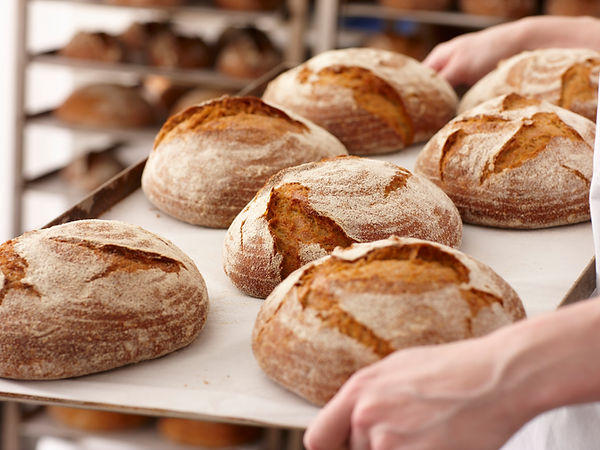 Fresh Bread Rolls