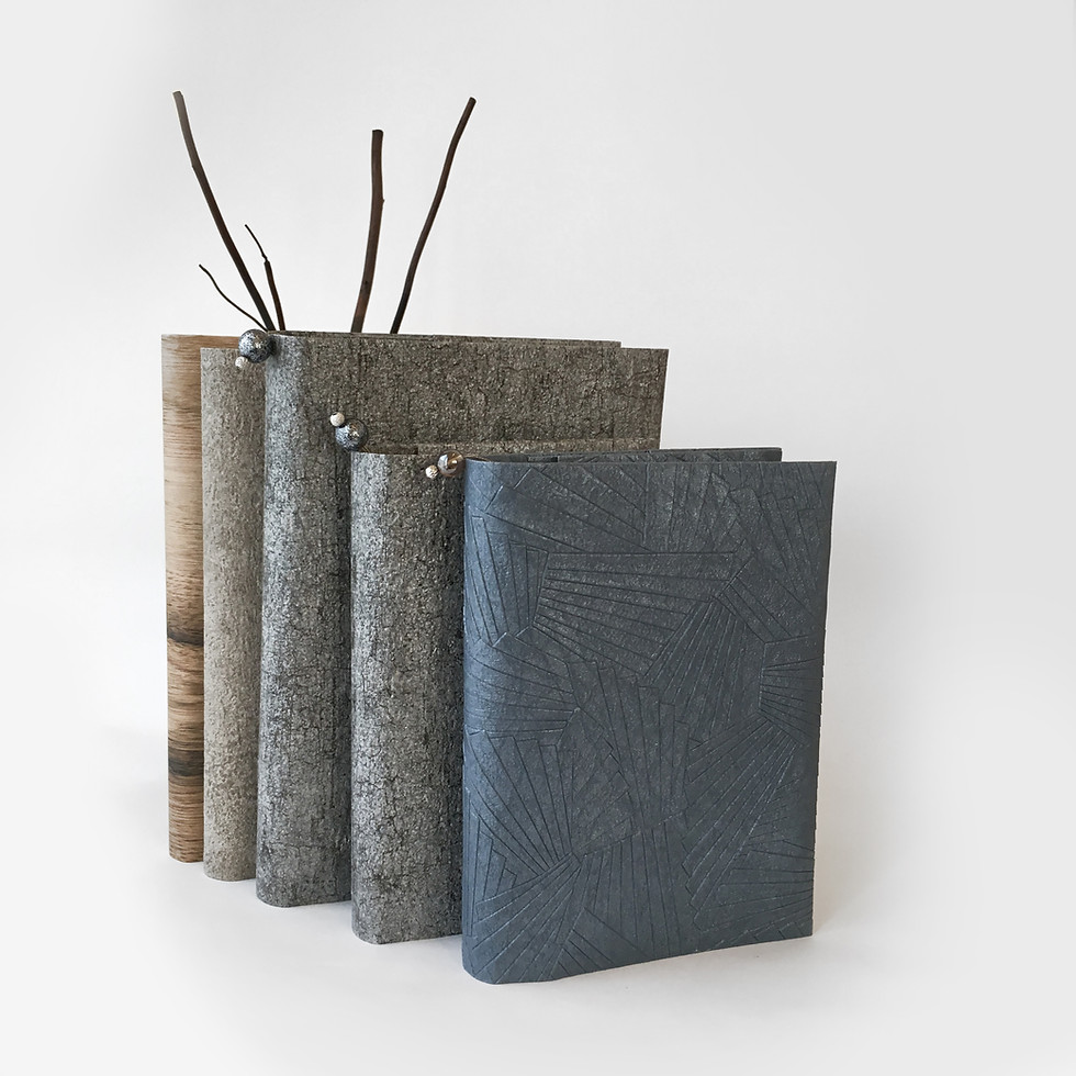 サムネイル： IRON ORE BOOKCOVER