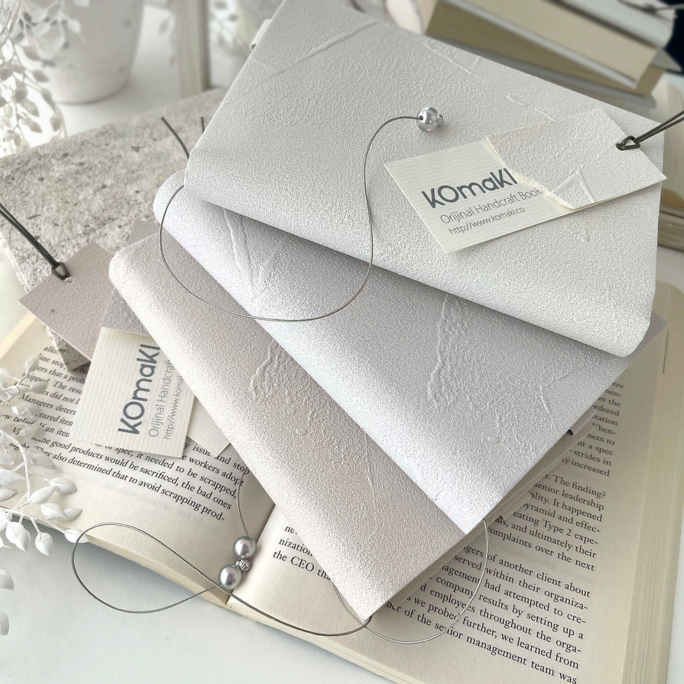 サムネイル： BRIGHT GRAYISH BOOK COVER