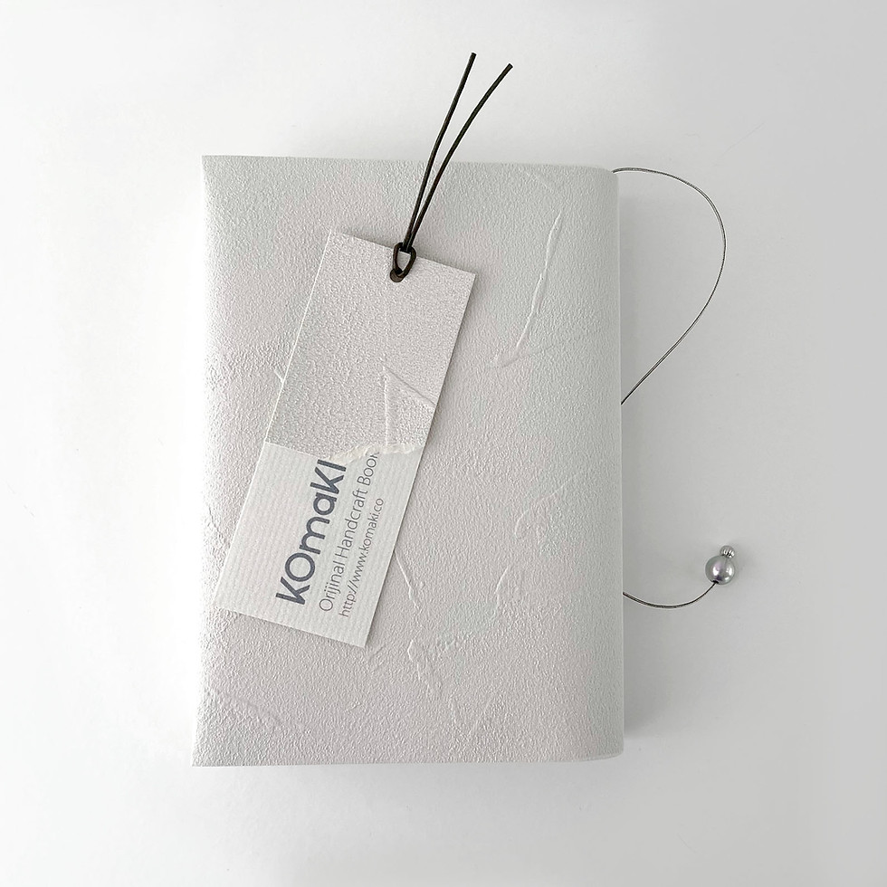 サムネイル： BRIGHT GRAYISH BOOK COVER