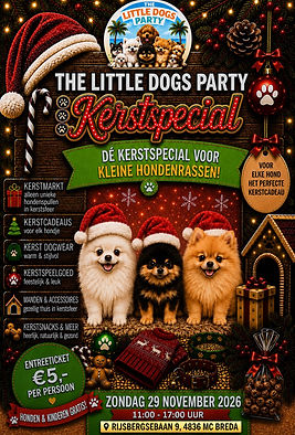 the little dogs party kerstspecial.jpeg