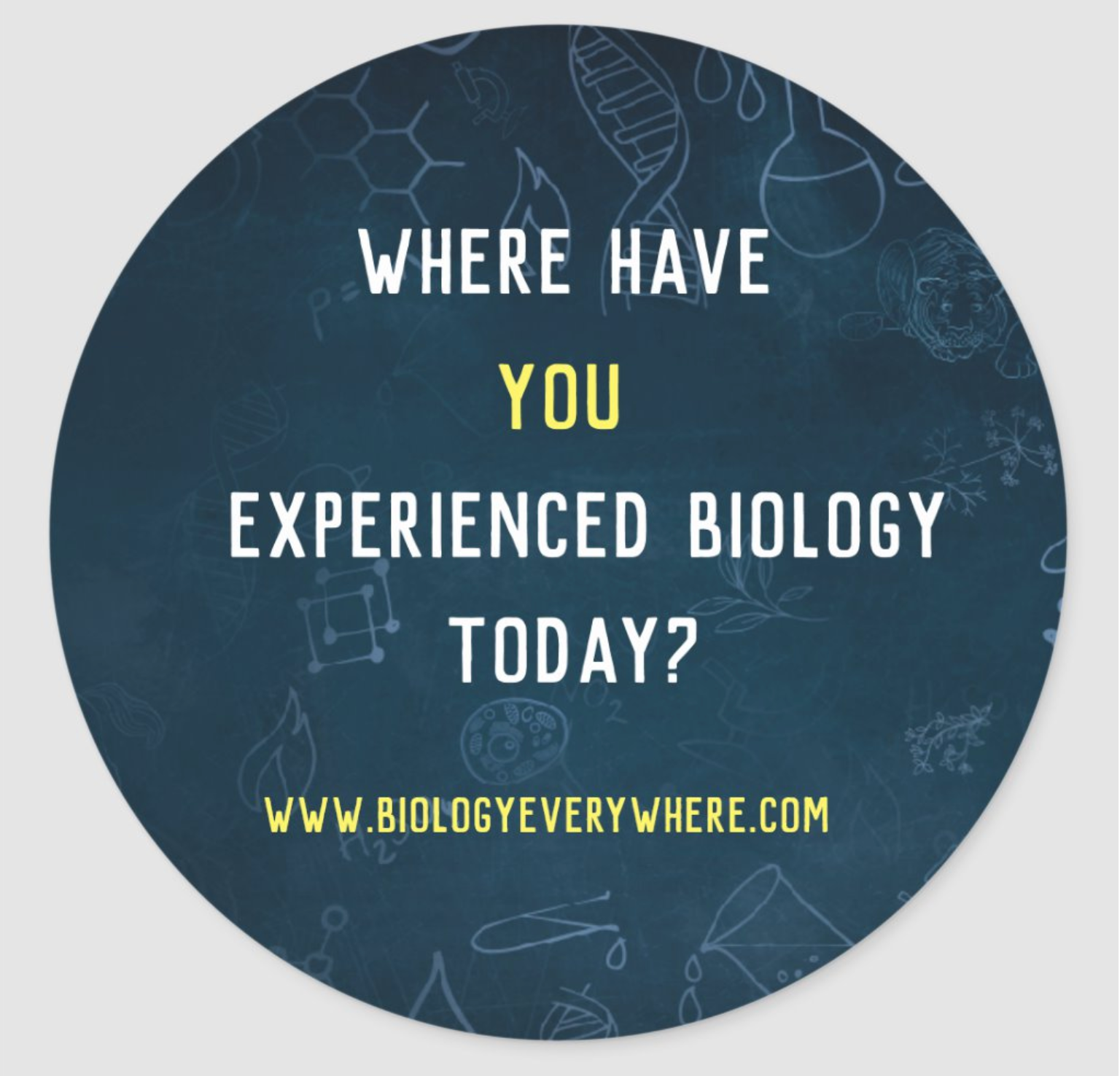 Biology Everywhere Water Bottle/Laptop Sticker