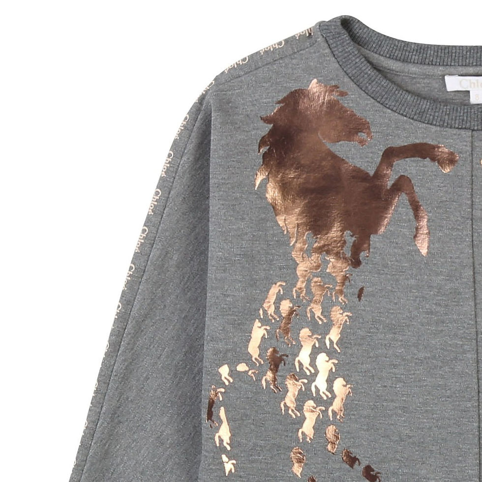 Thumbnail: C15A70/A38 CHLOÉ KIDS GIRLS SWEATSHIRT