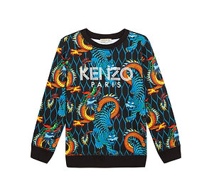 19H_KP15708_2 - Copy (2).JPG