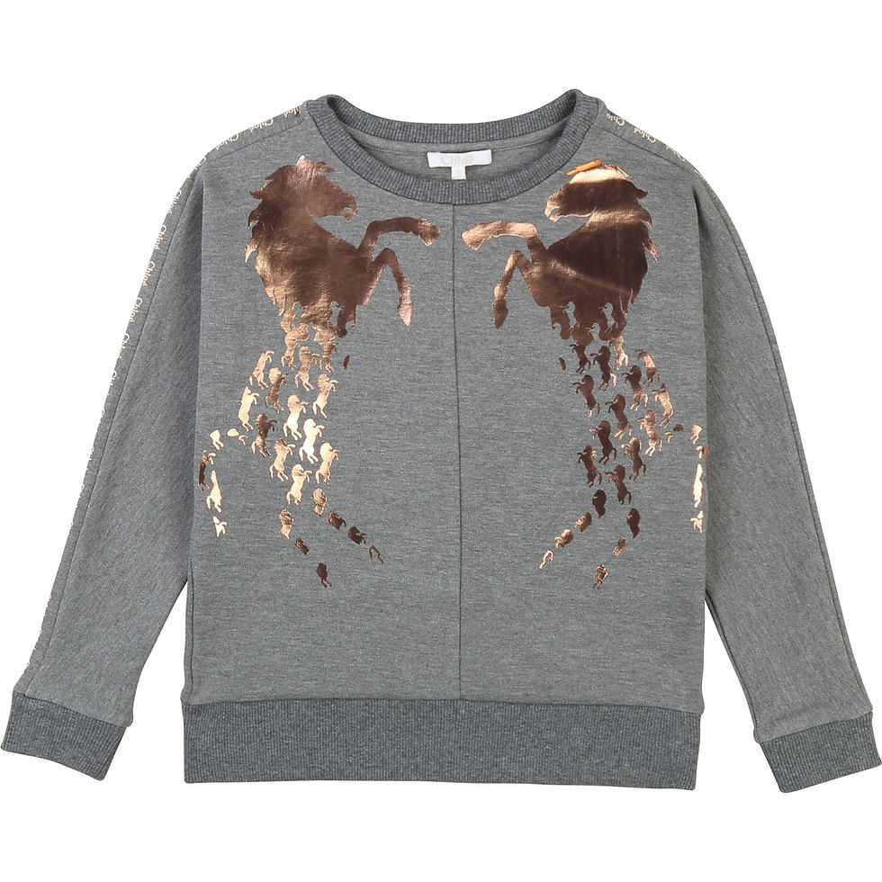 Thumbnail: C15A70/A38 CHLOÉ KIDS GIRLS SWEATSHIRT