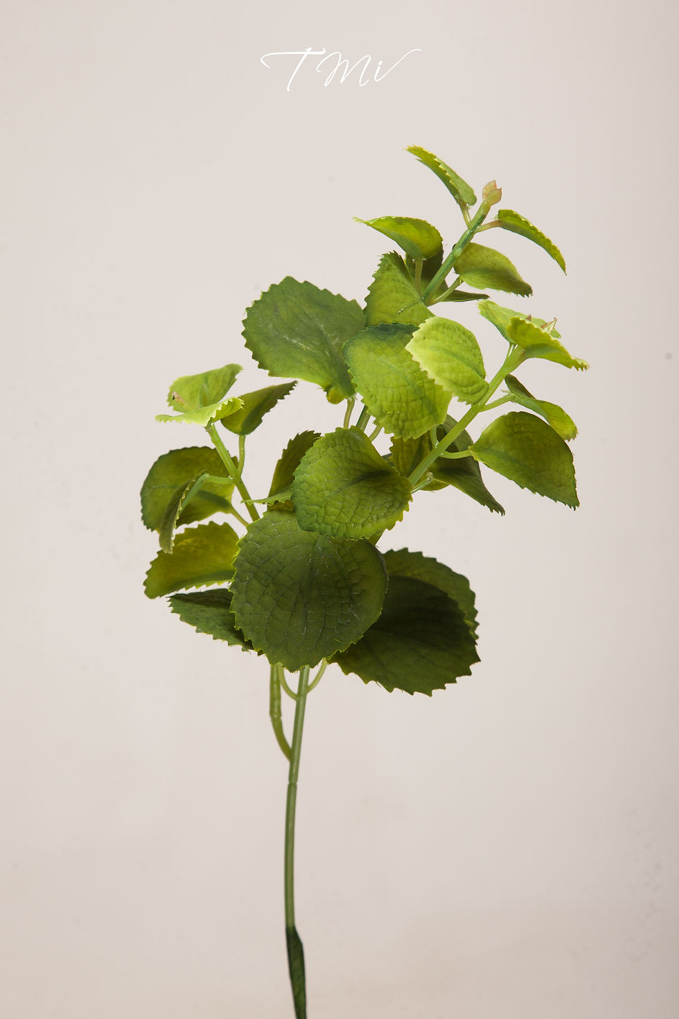 Leaf 9