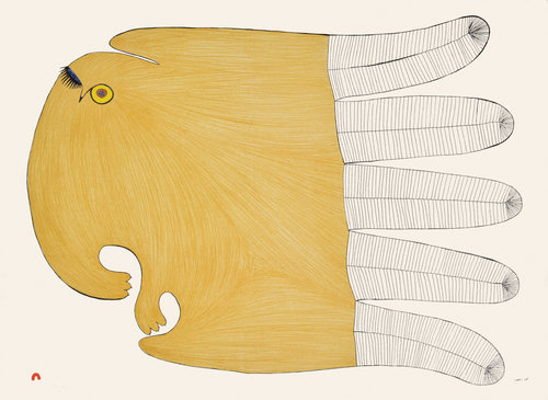 Flirtatious Owl