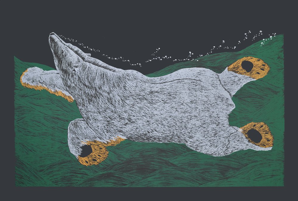 Swimming Bear (2016)