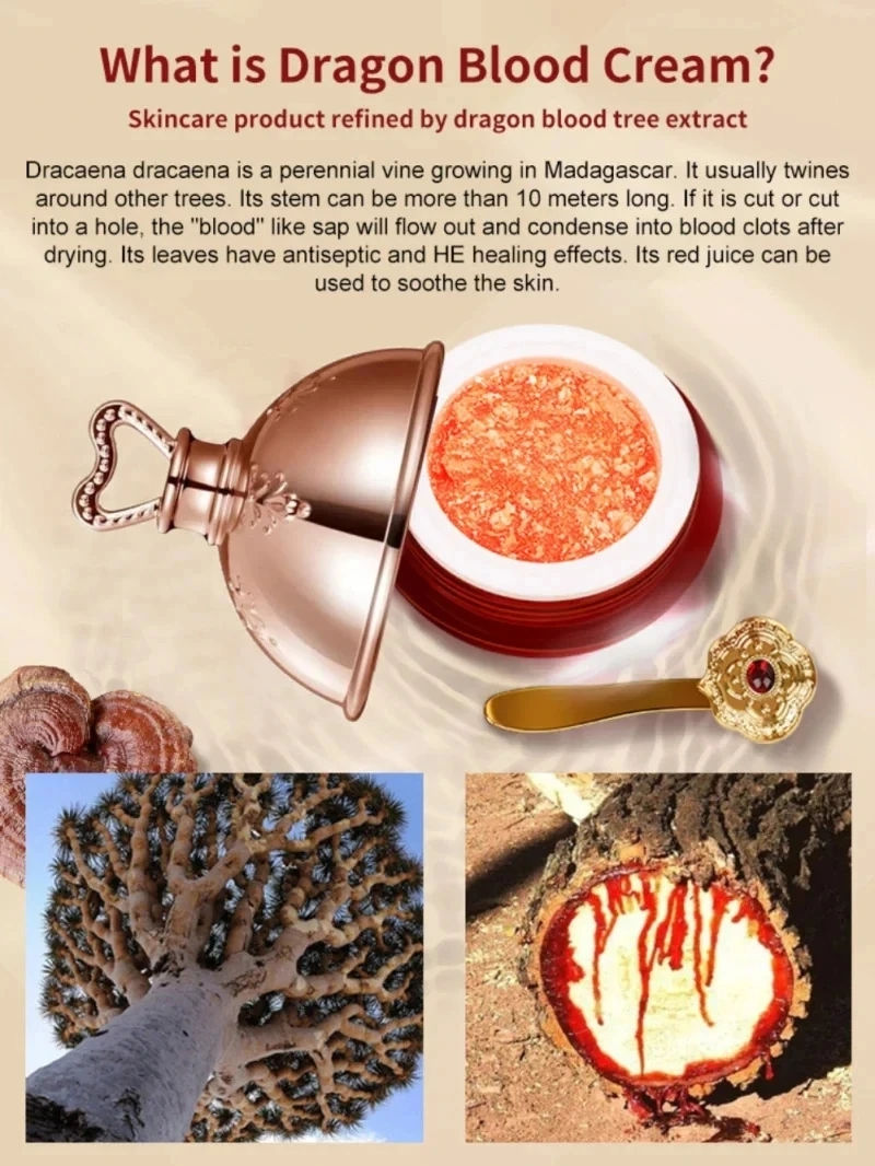 Miniatura: Dragon’s Blood Face Cream – Retinol, Brightening & Firming Skin Care