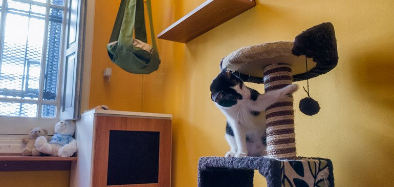 Negrita jugando!