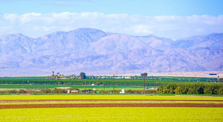 shutterstock_242362546_edited.jpg