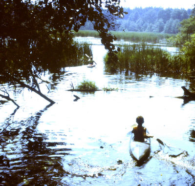 obra79_47_resize.JPG