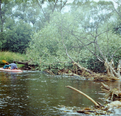 Obra 77_266_resize.JPG